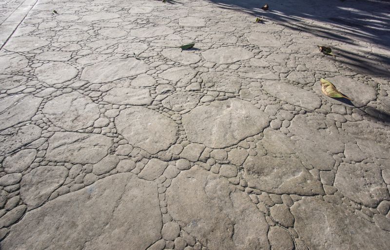 Decorative Concrete Repair in Novi, MI